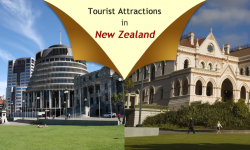 Top Tourist Attractions from Wellington, New Zealand