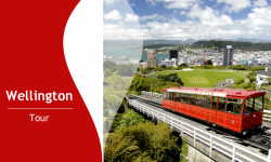 Top Things to See and Do in Wellington, New Zealand