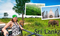 Why Sri Lanka is a Great Holiday Destination for Families?