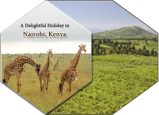 Holiday in Nairobi, Kenya