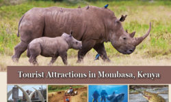 Top 7 Tourist Attractions in Mombasa, Kenya