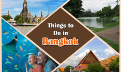 Exciting Things to Do in Bangkok