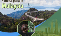 Explore the Wealth of Nature in Malaysia