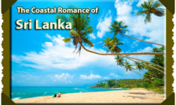 The Coastal Romance of Sri Lanka