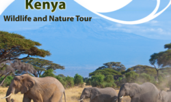 The Kenya Wildlife and Nature Tour