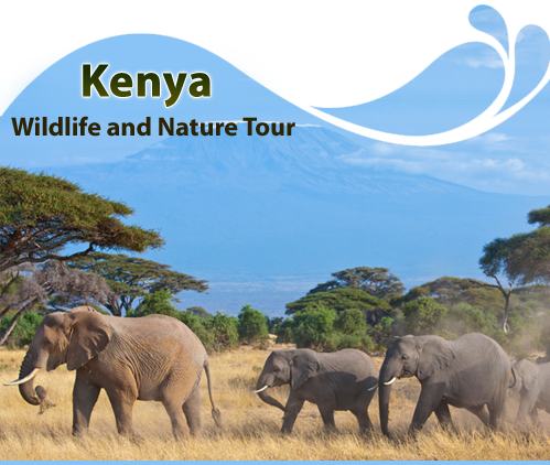 Kenya-Wildlife-and-Nature-Tour