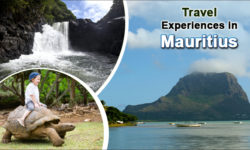 Top Travel Experiences in Mauritius