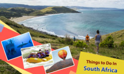 Top Six Things to Do In South Africa