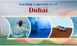 Top Exciting Experiences in Dubai You Must Try