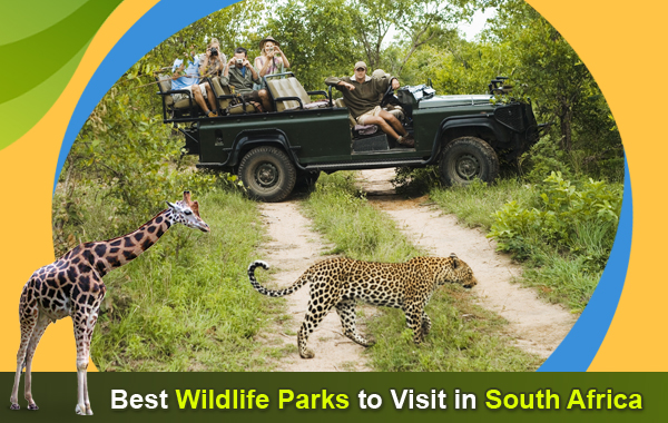 Best-Wildlife-Parks-to-Visit-in-South-Africa
