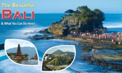 The Beautiful Bali and What You Can Do Here!