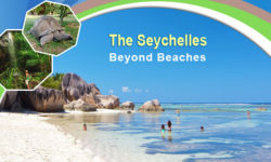 The Seychelles Beyond Beaches