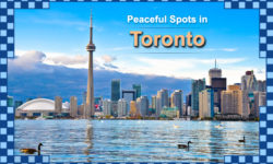 6 Most Peaceful Spots in Toronto One Must Visit
