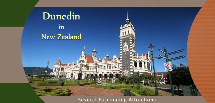 Dunedin-in-New-Zealand