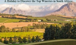 A Holiday to Discover the Top Wineries in South Africa