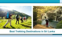 Five of the Best Trekking Destinations in Sri Lanka