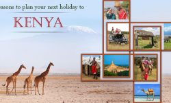 Reasons to plan your next holiday to Kenya