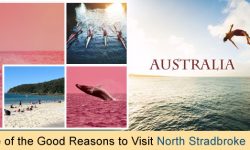 Some of the Good Reasons to Visit North Stradbroke Island in Australia