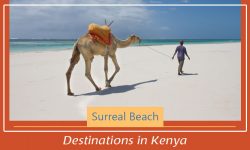 Top 5 Surreal Beach Destinations in Kenya