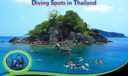 Top 5 Diving Spots in Thailand